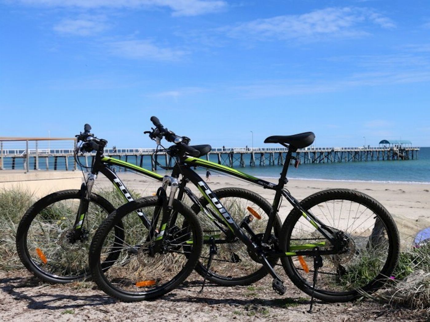 Pure SA Adelaide City to Sea Bike Tour