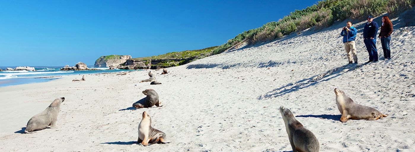Sealink SA Ultimate Kangaroo Island Tour