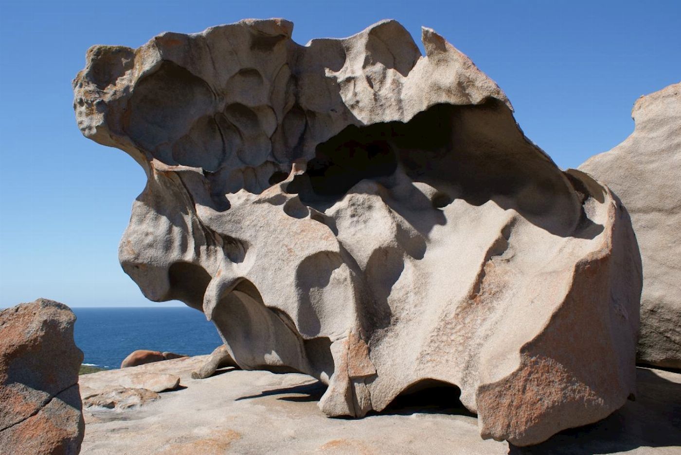 Sealink SA Kangaroo Island Experience (On Island)