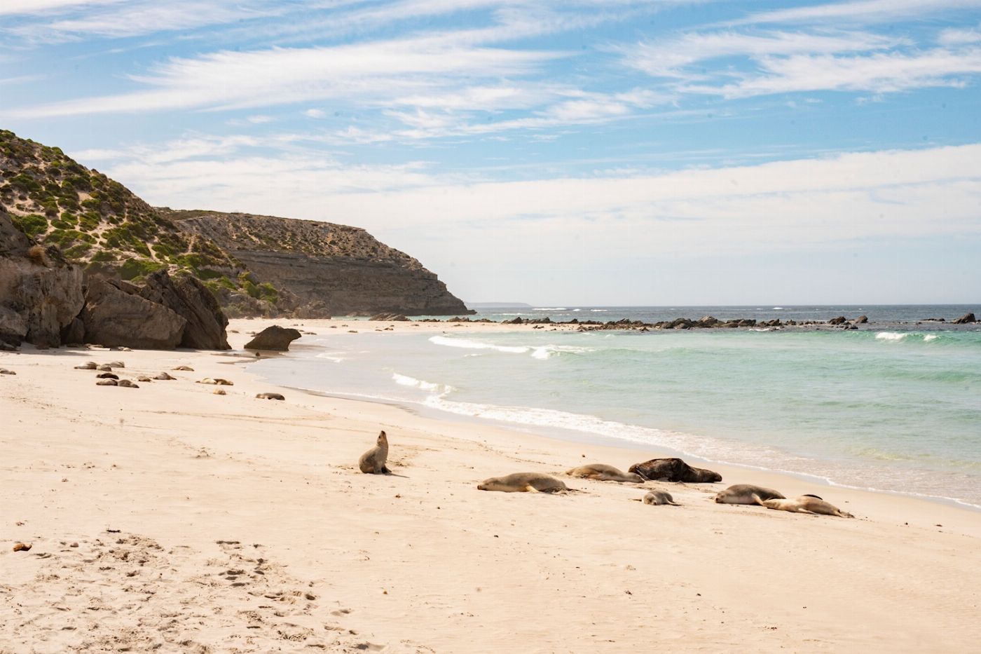 Sealink SA Kangaroo Island Experience (On Island)
