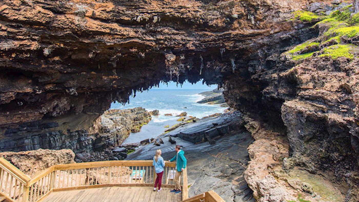 Sealink SA Kangaroo Island Experience (On Island)