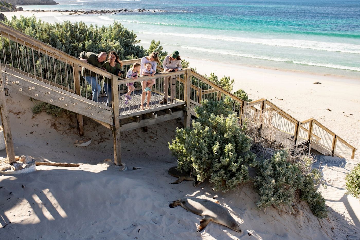 Sealink SA Kangaroo Island Experience (On Island)
