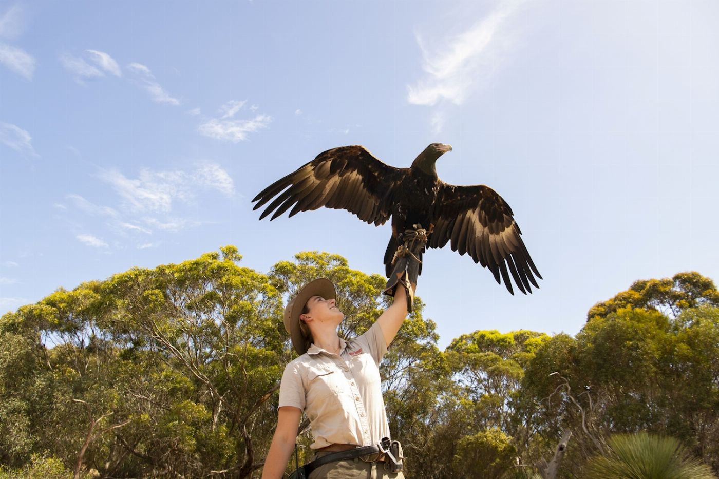 Sealink SA Kangaroo Island Sip & See Tour (On Island)