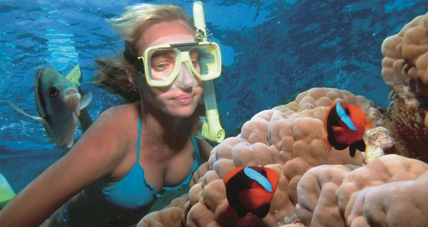 Queensland Scuba Diving Company Snorkelling