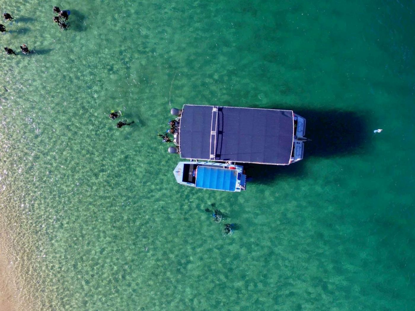 Queensland Scuba Diving Company PADI Open Water Course