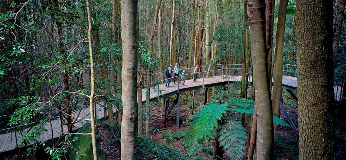 Anderson's Tours All Inclusive Small Group Blue Mountains Tour