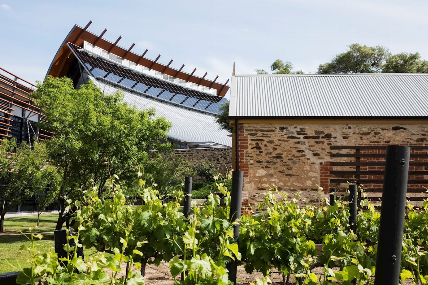 Sealink SA Ultimate Adelaide & Hahndorf
