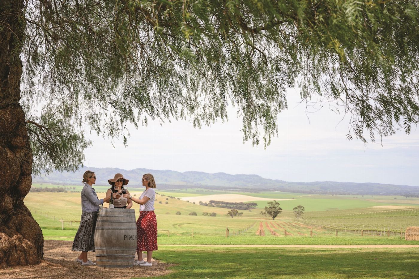 Sealink SA Barossa Food & Wine Experience
