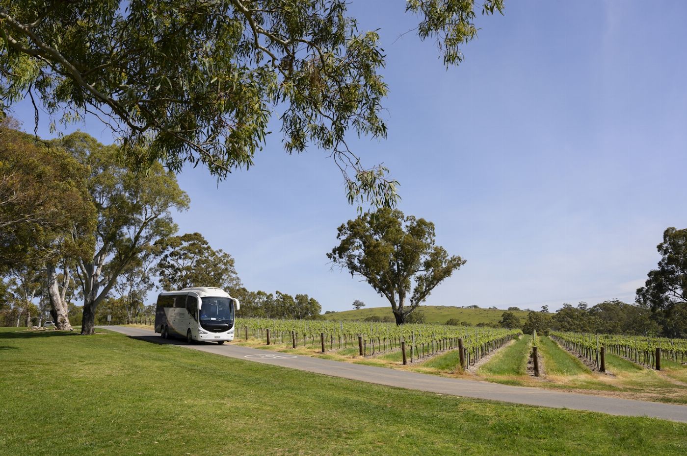 Sealink SA Barossa Food & Wine Experience
