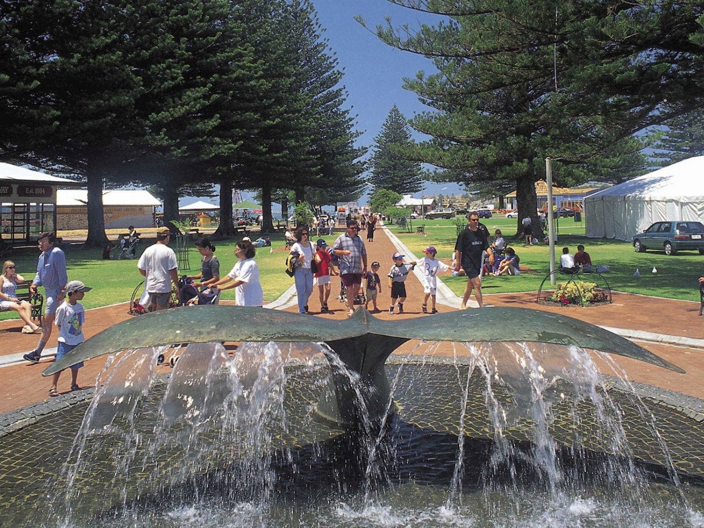 Sealink SA Victor Harbor & Southern Highlights
