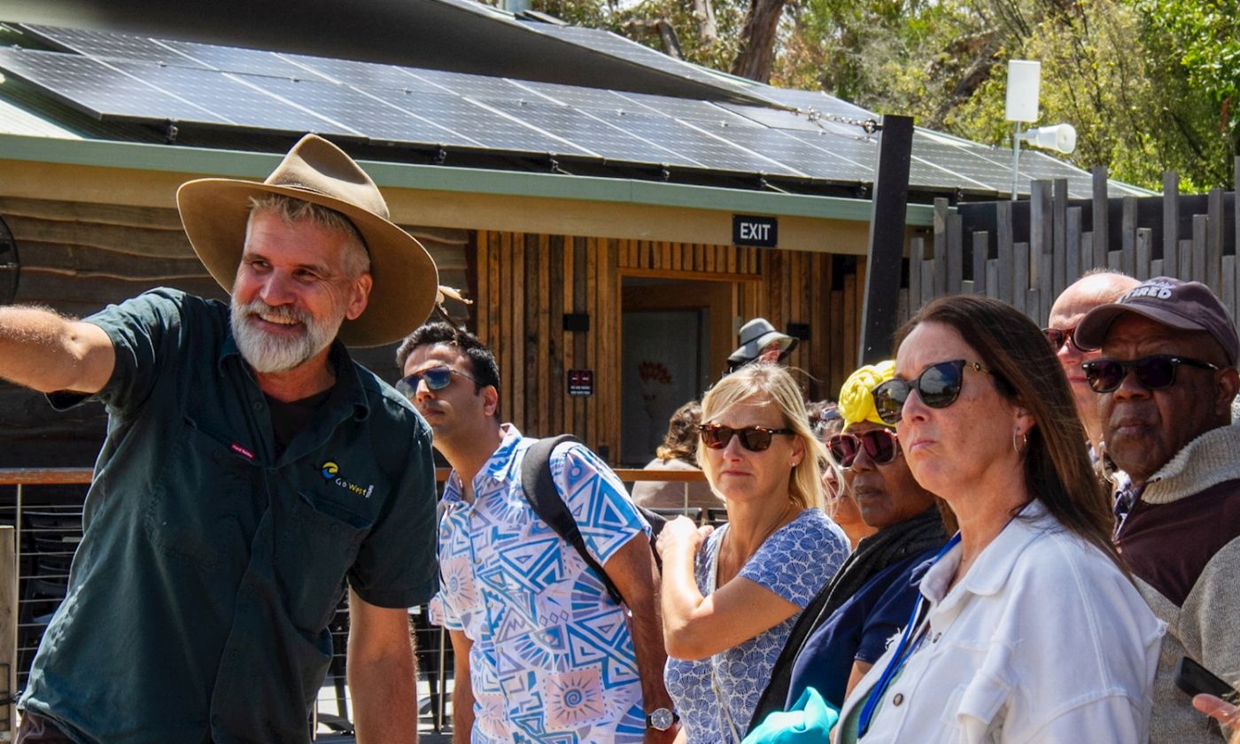 Go West Tours Phillip Island Penguin Parade Small Group Eco Tour