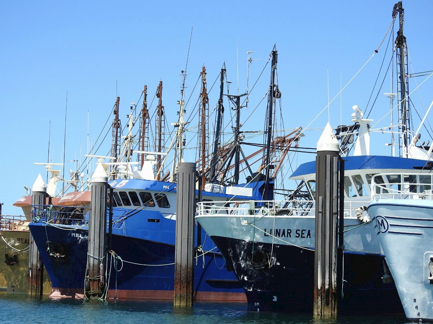 Untamed Escapes Port Lincoln Tour