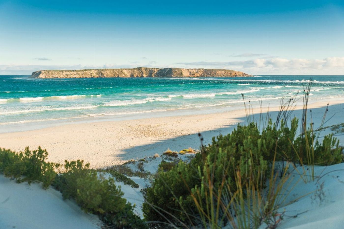 Untamed Escapes Coffin Bay Day Tour