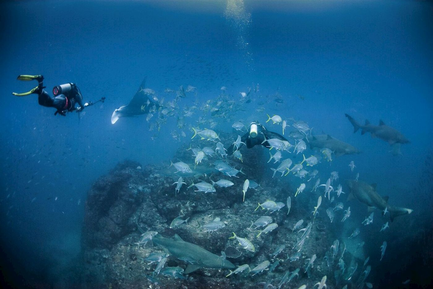 Wolf Rock Dive Double Dive Charter for Open Water Divers