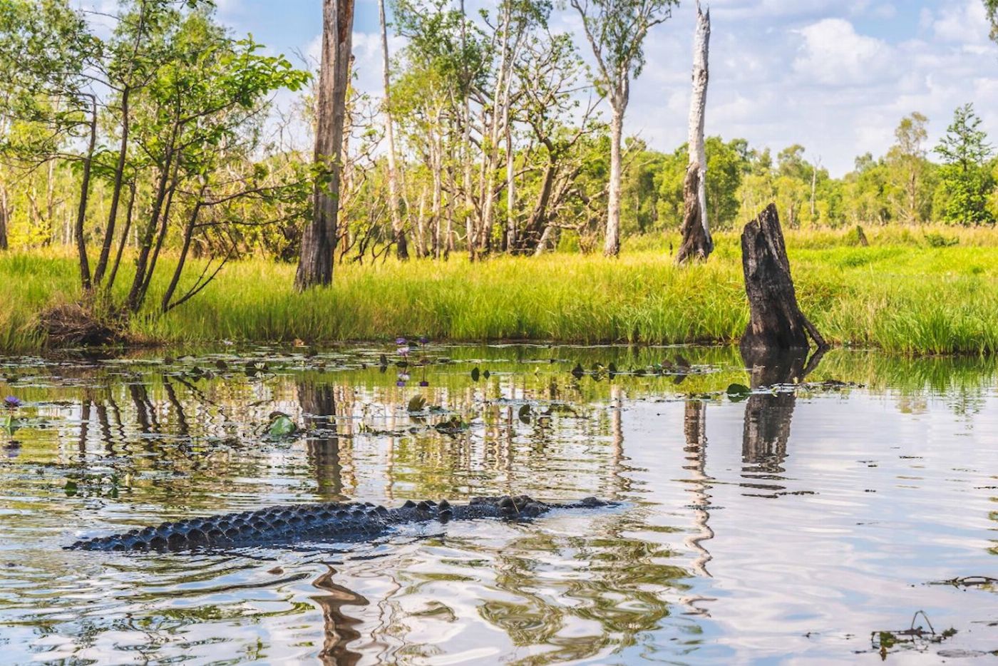 Top End Safari Camp Overnight Tour (2 Adults, double share)