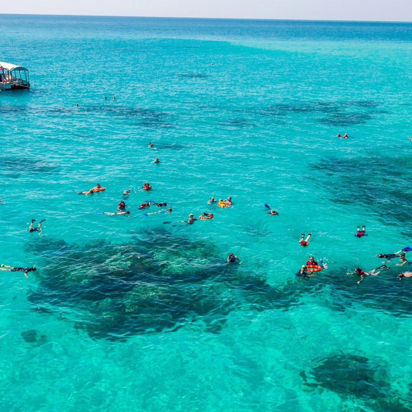 Cairns Premier Ocean Freedom Cruise to Upolu Cay Reef & Outer Edge Upolu Reef (Family 2 adults + 2 children)