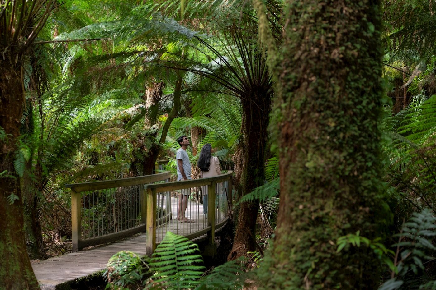 Autopia Tours Adelaide to Melbourne Original Tour (Private Single Ensuite)