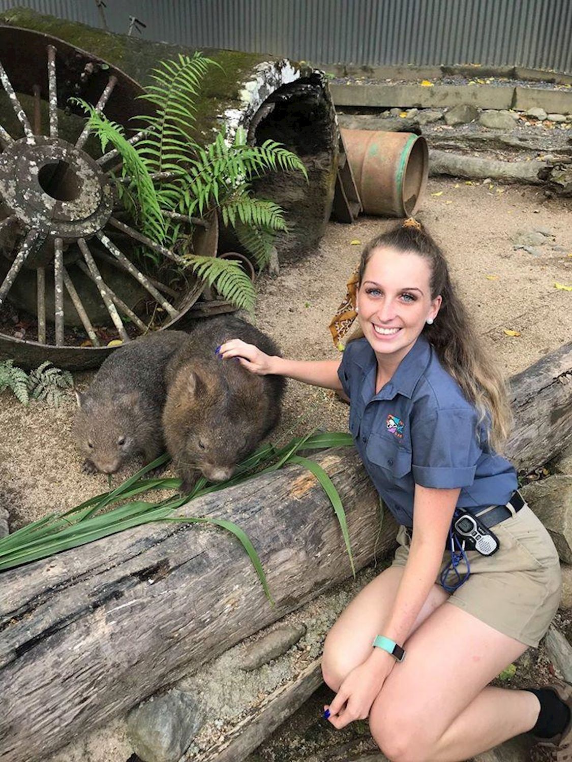 Kuranda Koala Gardens Kuranda Wildlife Experience Package (Family Rate)