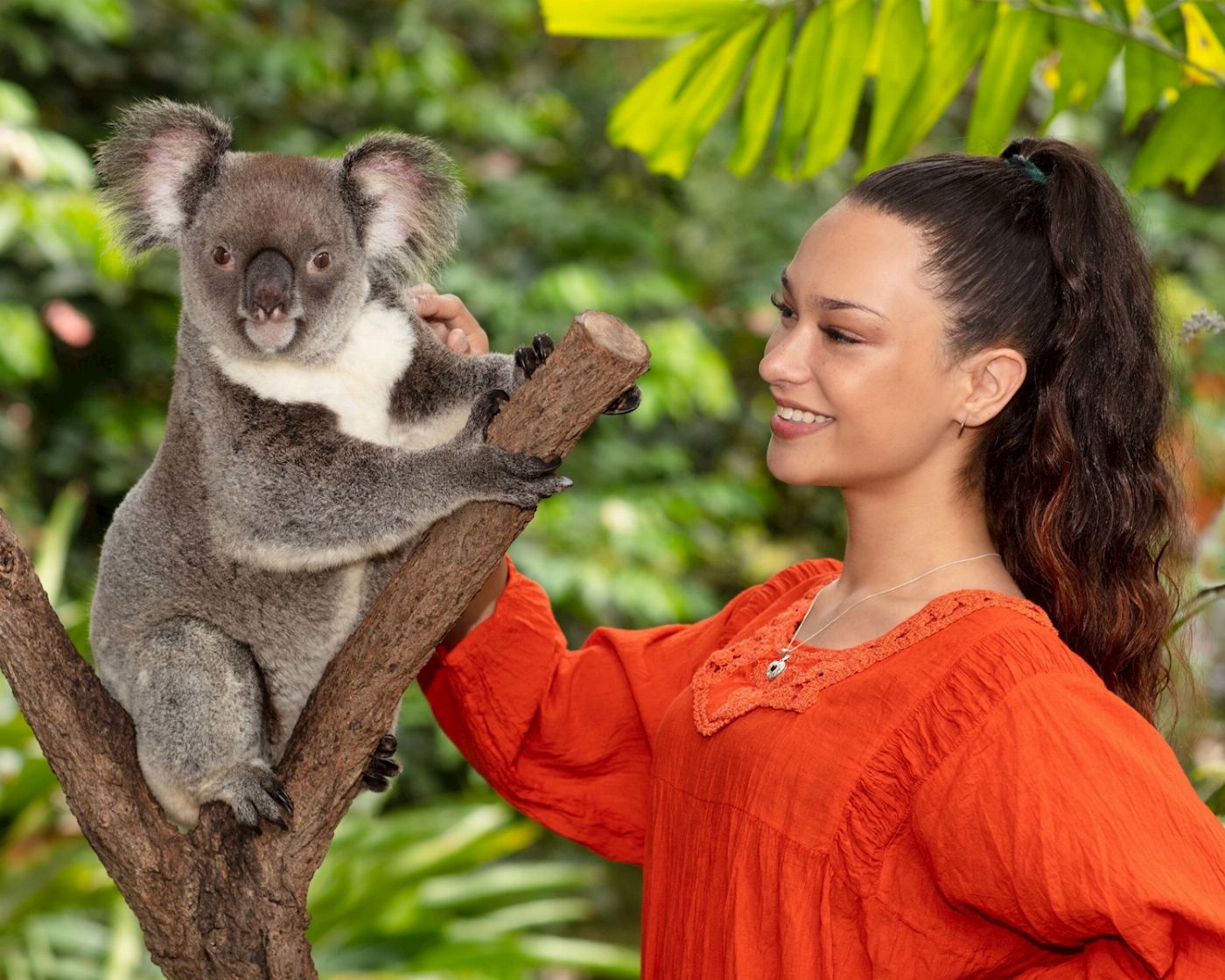 Kuranda Koala Gardens Kuranda Wildlife Experience Package (Family Rate)