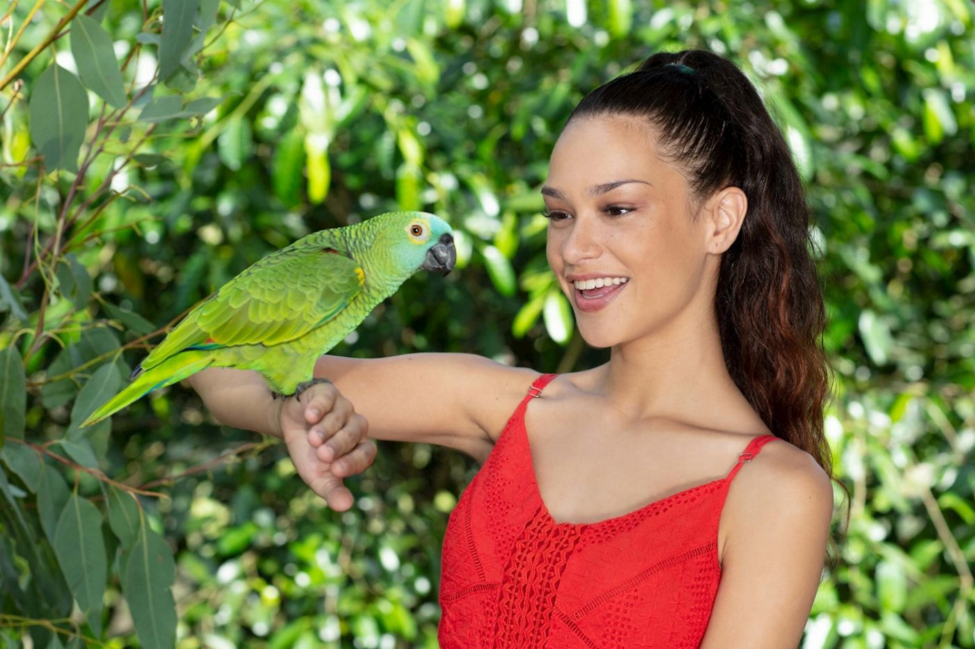 Kuranda Koala Gardens Kuranda Wildlife Experience Package (Family Rate)