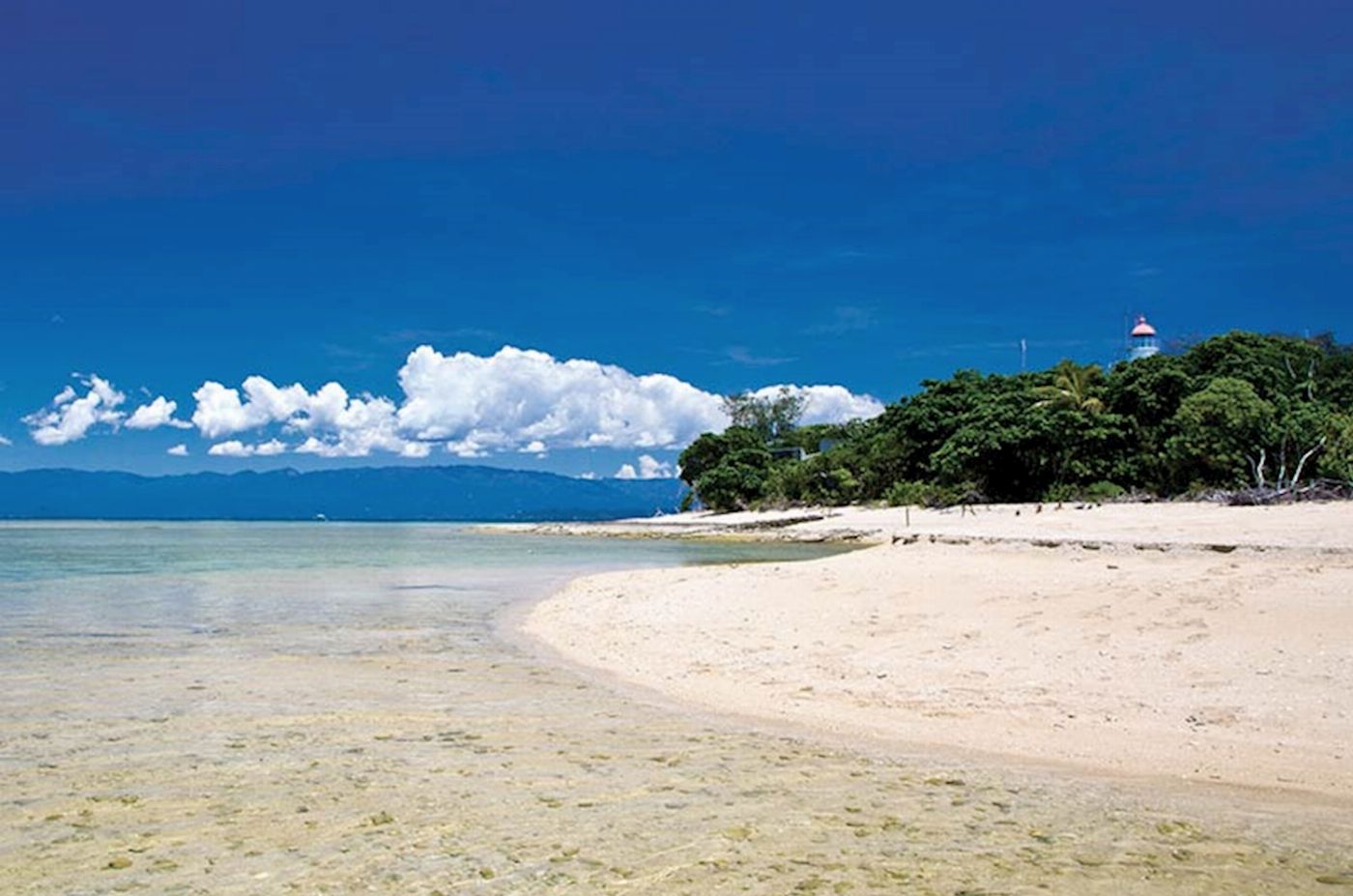 Calypso Snorkel & Dive Calypso Half Day Low Isles - Afternoon