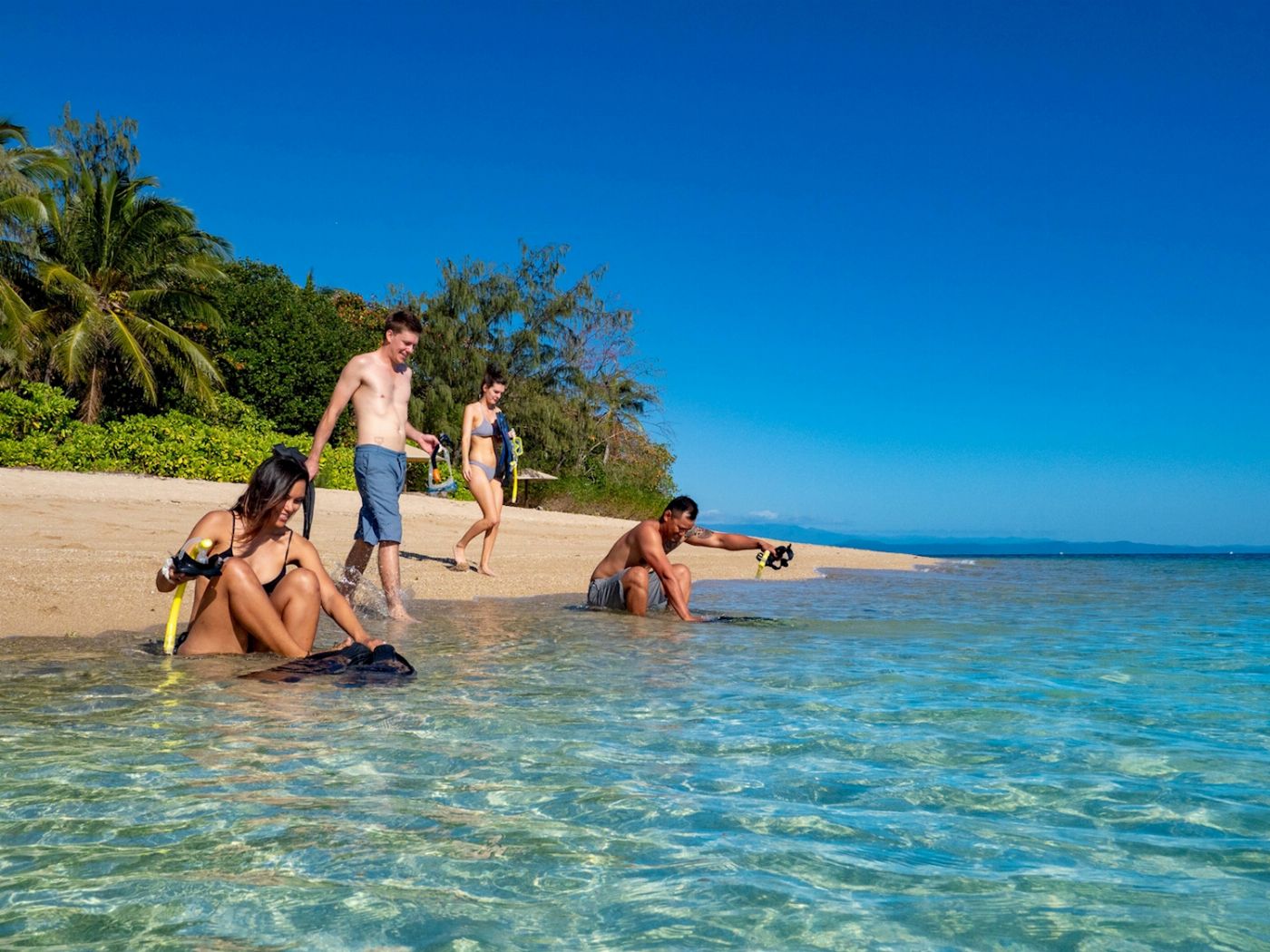 Calypso Snorkel & Dive Calypso Half Day Low Isles - Afternoon