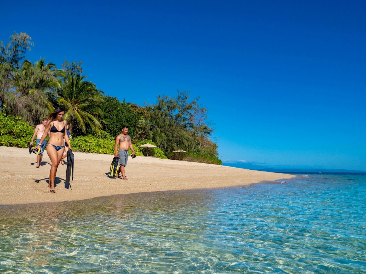 Calypso Snorkel & Dive Calypso Half Day Low Isles - Afternoon