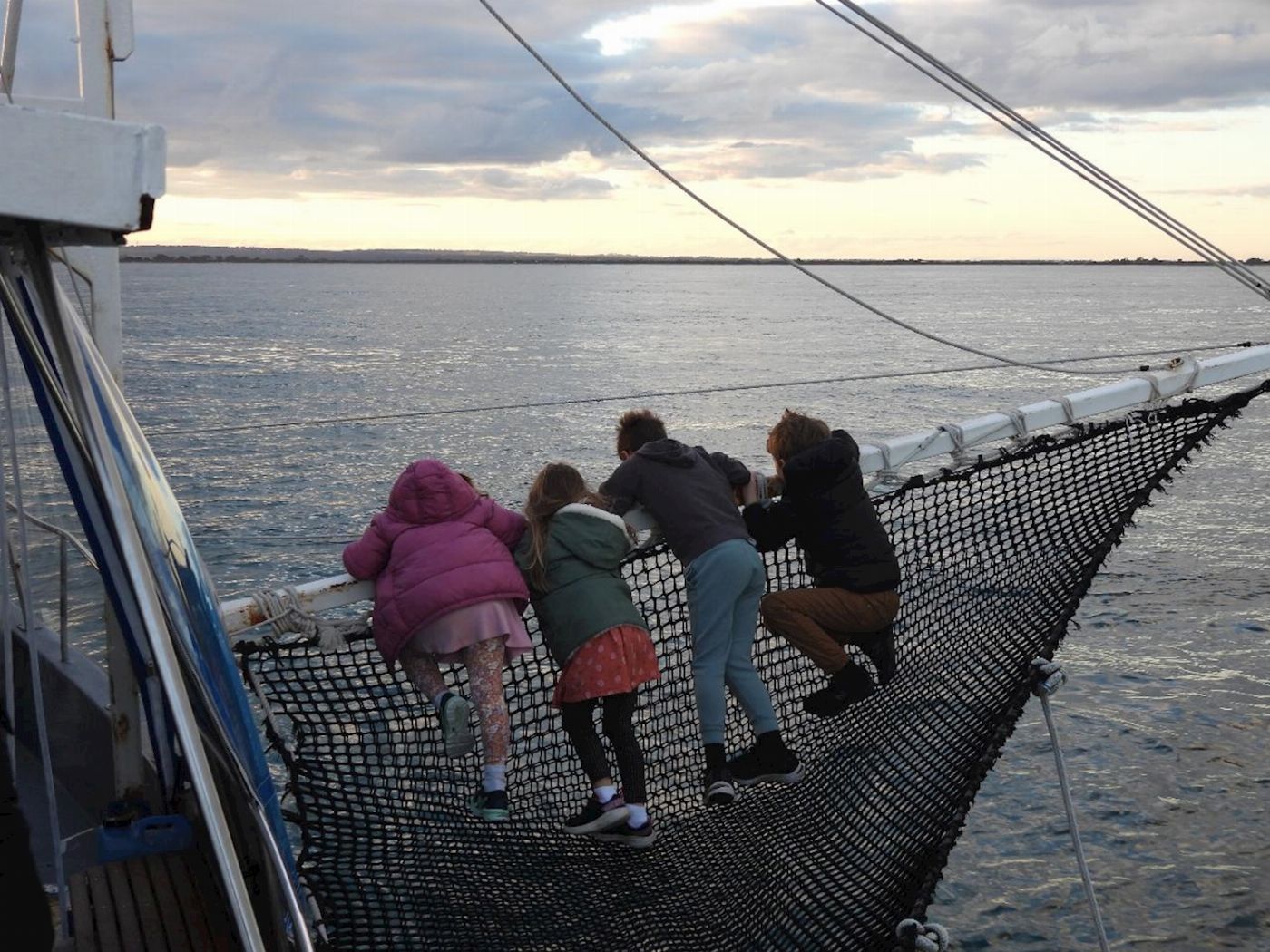 See All Dolphin Swim Local Wildlife Sightseeing
