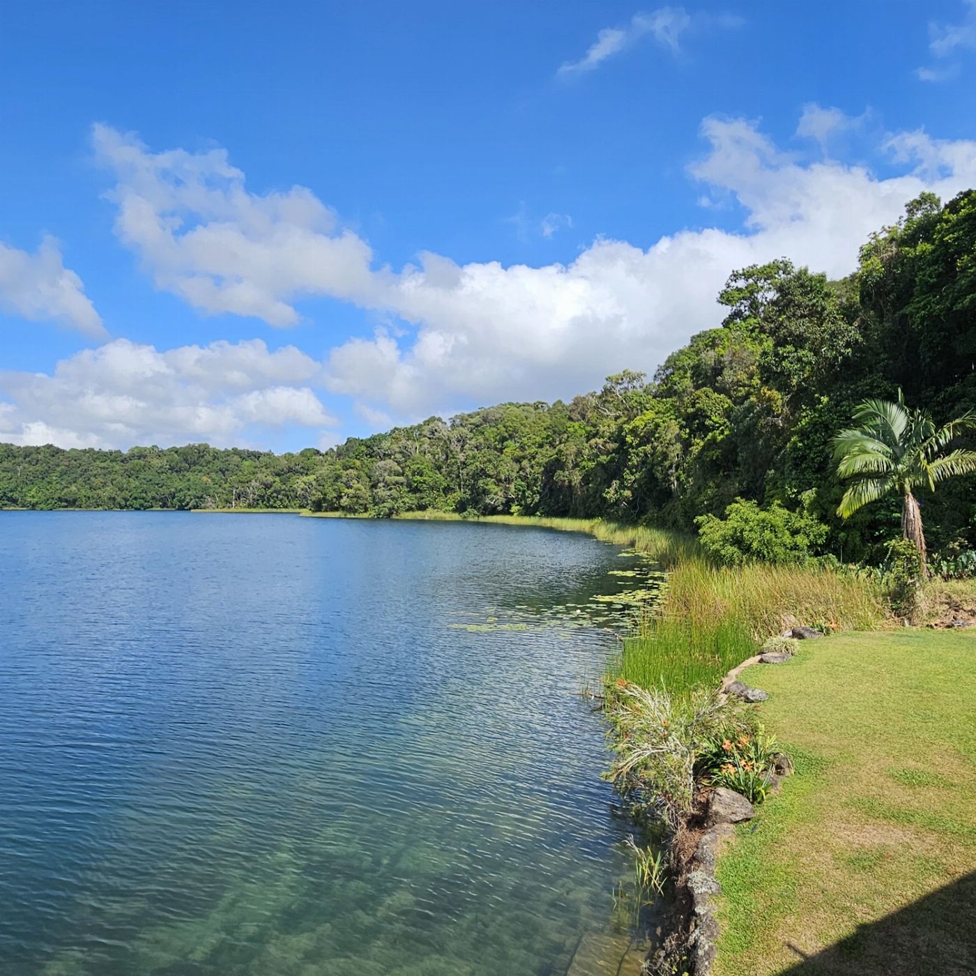 Northern Experience Eco Tours Premium Tablelands, Waterfalls & Paronella Park Rainforest Day Tour - From Northern Beaches