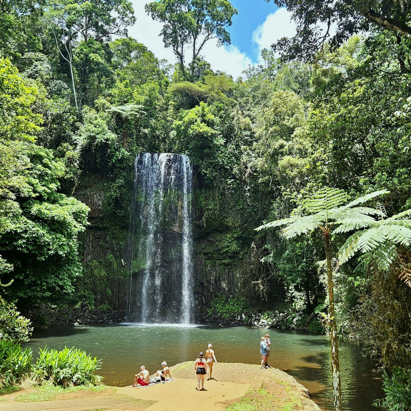 Northern Experience Eco Tours Premium Tablelands, Waterfalls & Paronella Park Rainforest Day Tour - From Northern Beaches
