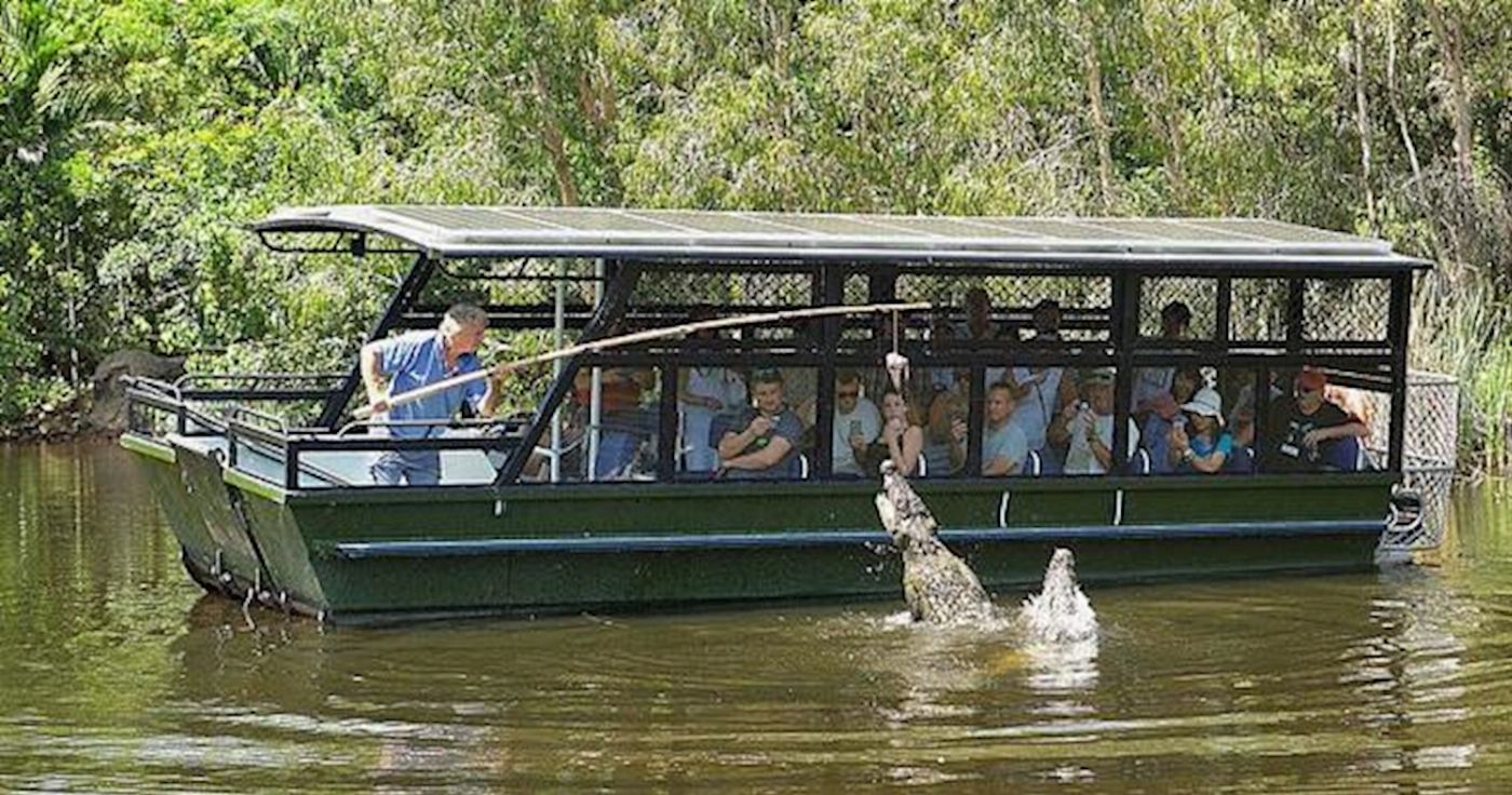 Hartley's Crocodile Adventures Entry with Return Transfers ex Port Douglas