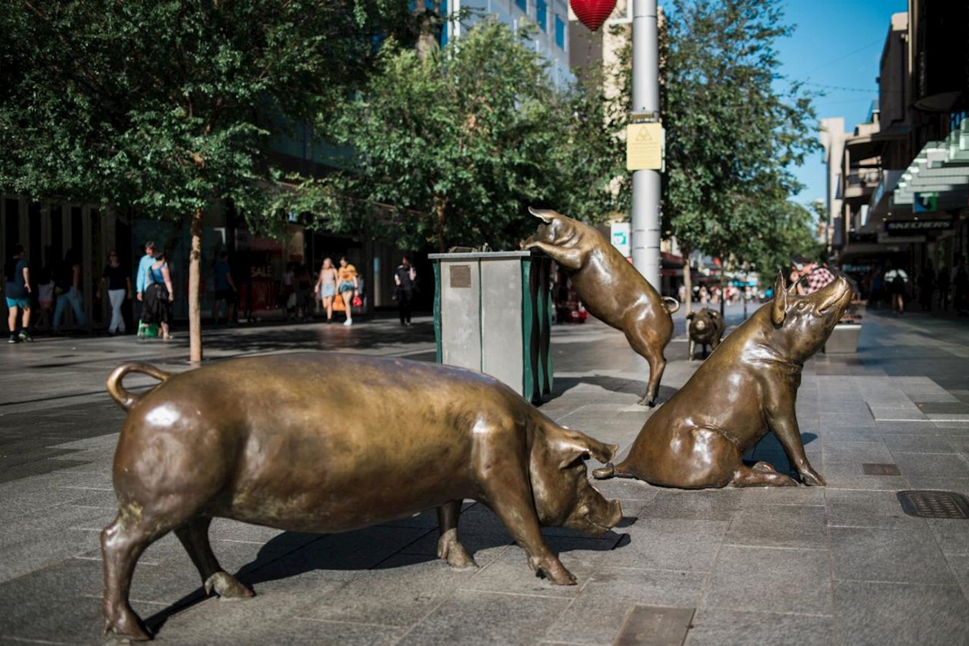 Flamboyance Tours Welcome to Adelaide