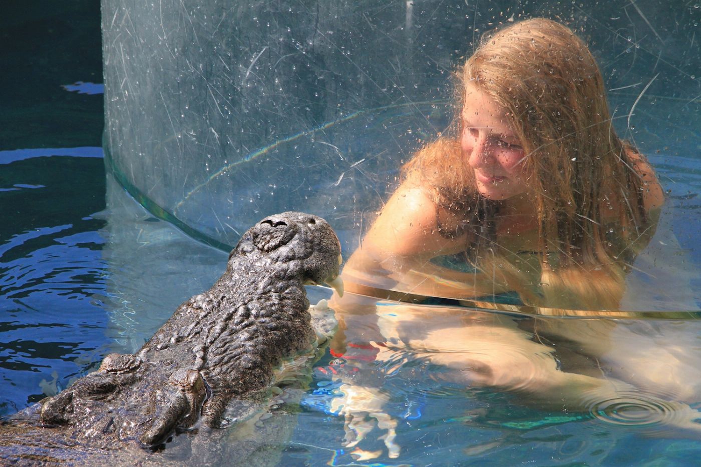Crocosaurus Cove Cage of Death (1 Person in Cage)
