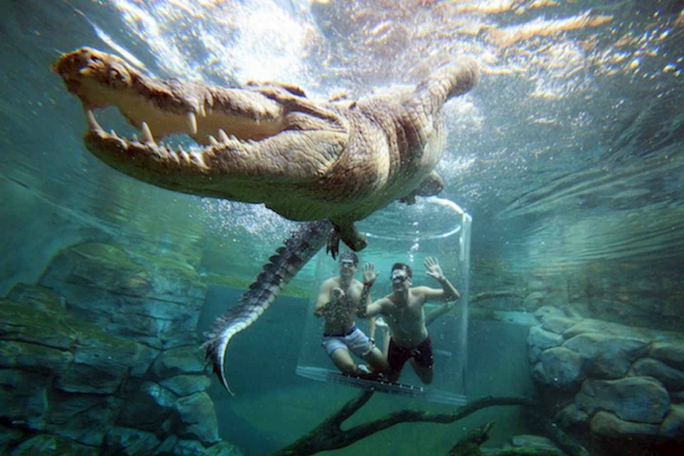 Crocosaurus Cove Cage of Death (2 People in Cage)