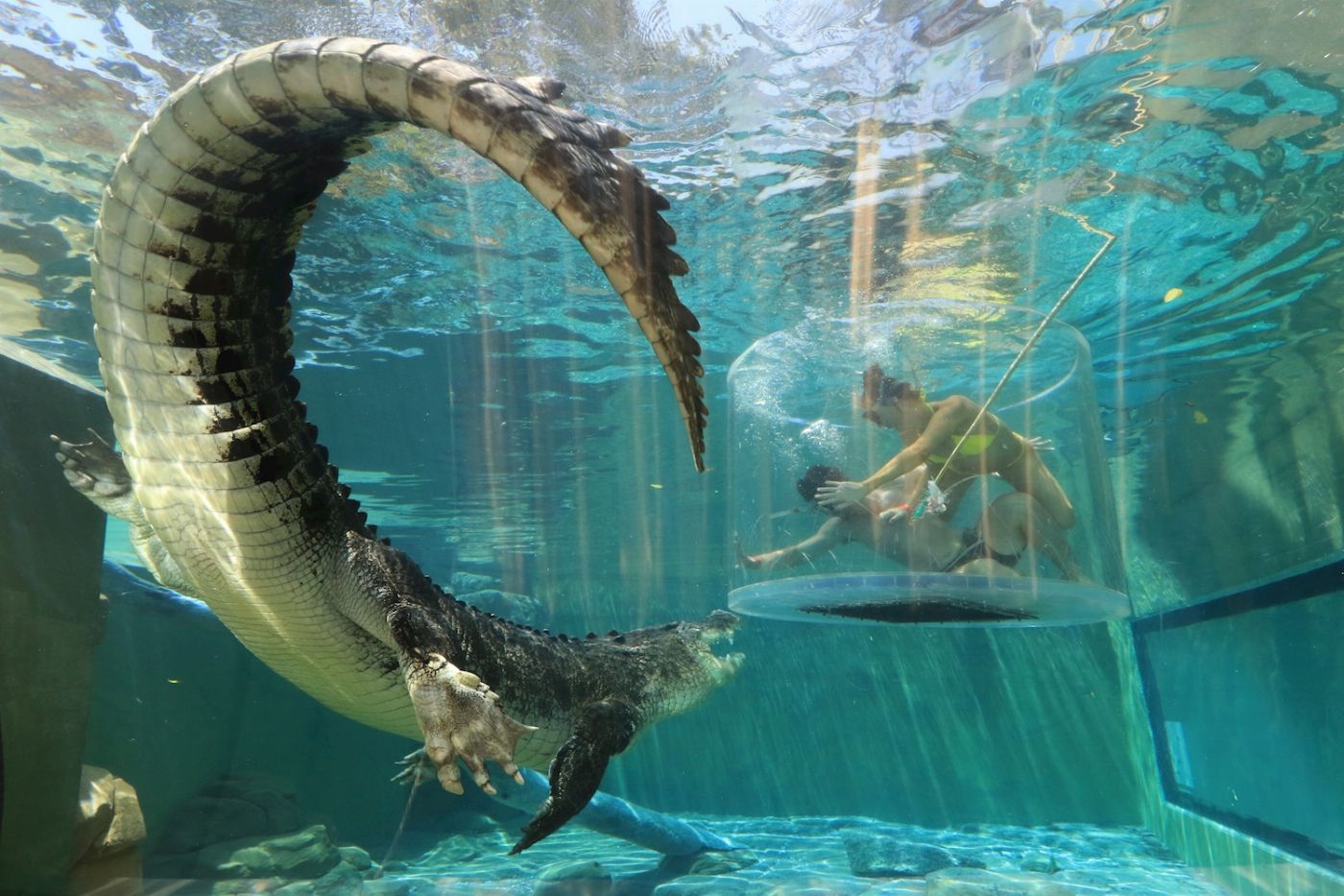 Crocosaurus Cove Cage of Death (2 People in Cage)