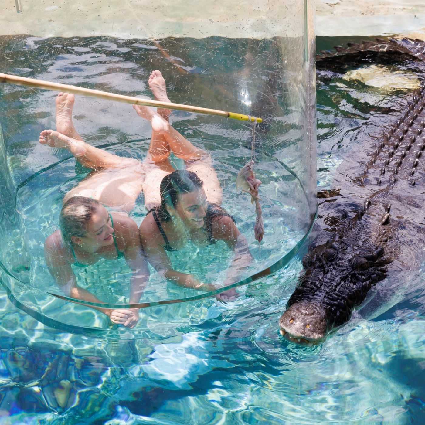Crocosaurus Cove Cage of Death (2 People in Cage)