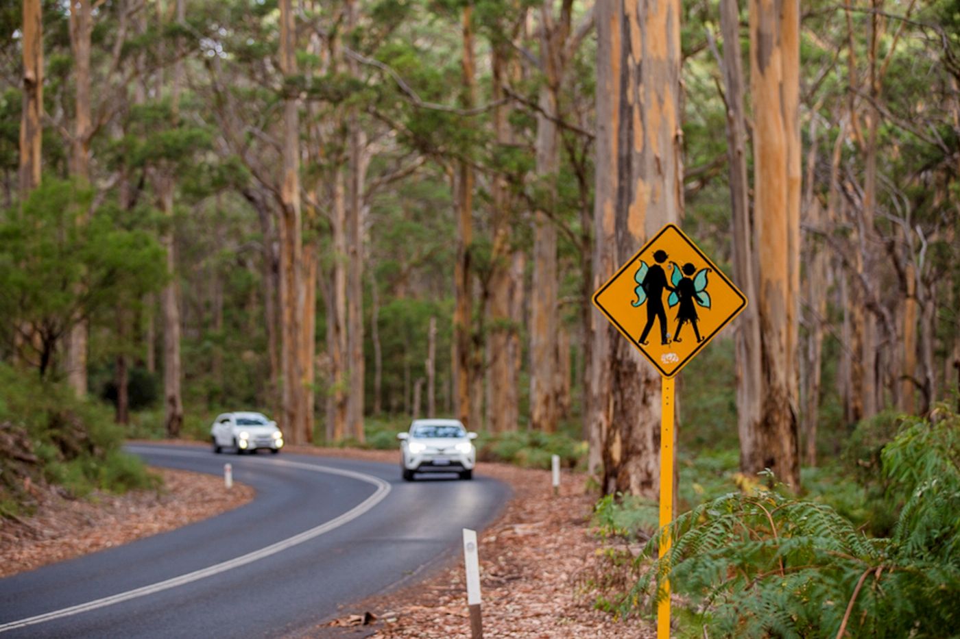 McLeod Tours Margaret River Escape Package (Single Room)
