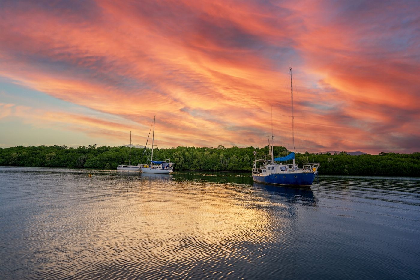 Cairns River Cruises Sunset Sightseeing Tour