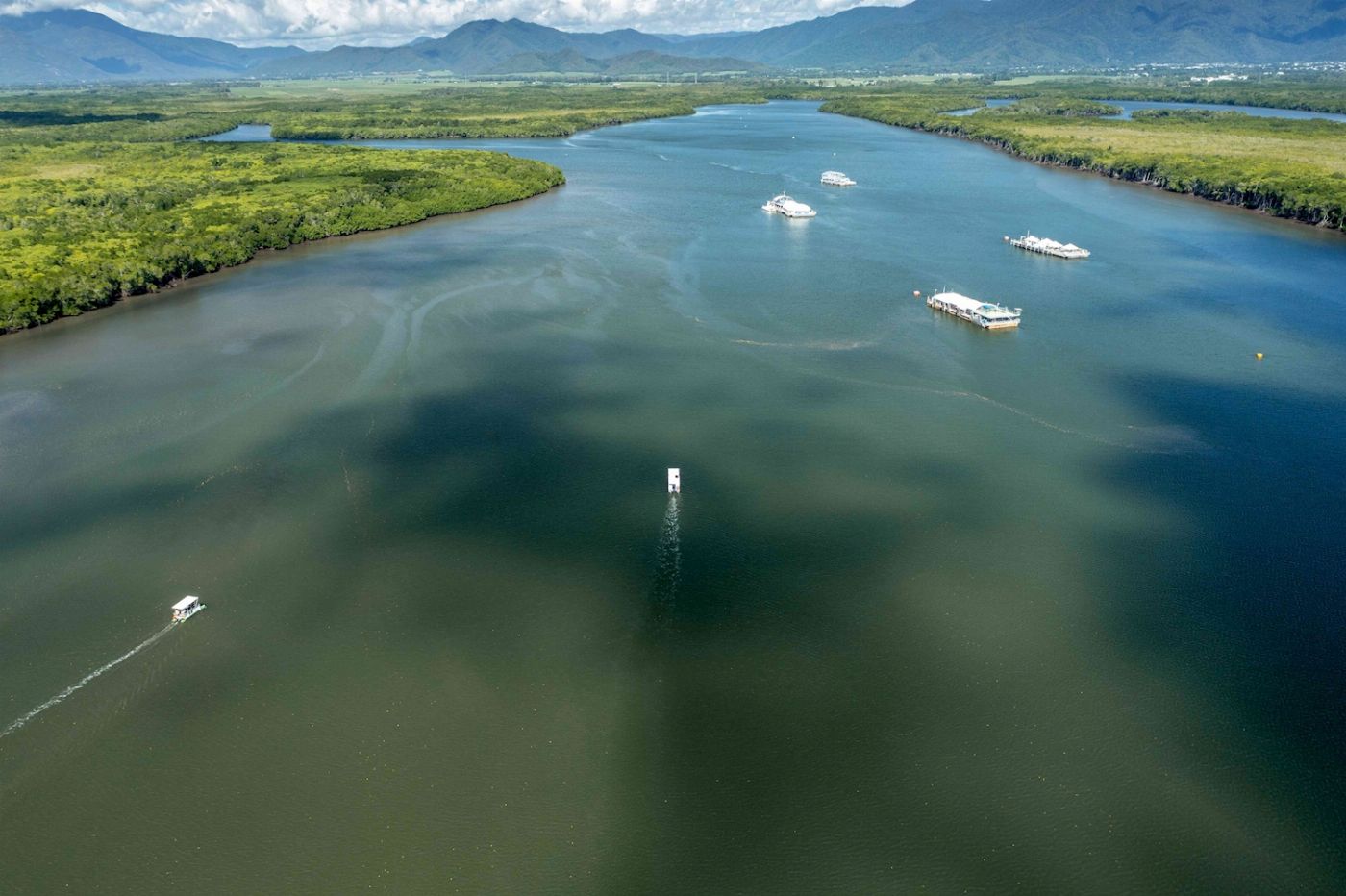 Cairns River Cruises The Inlet Sightseeing Safari