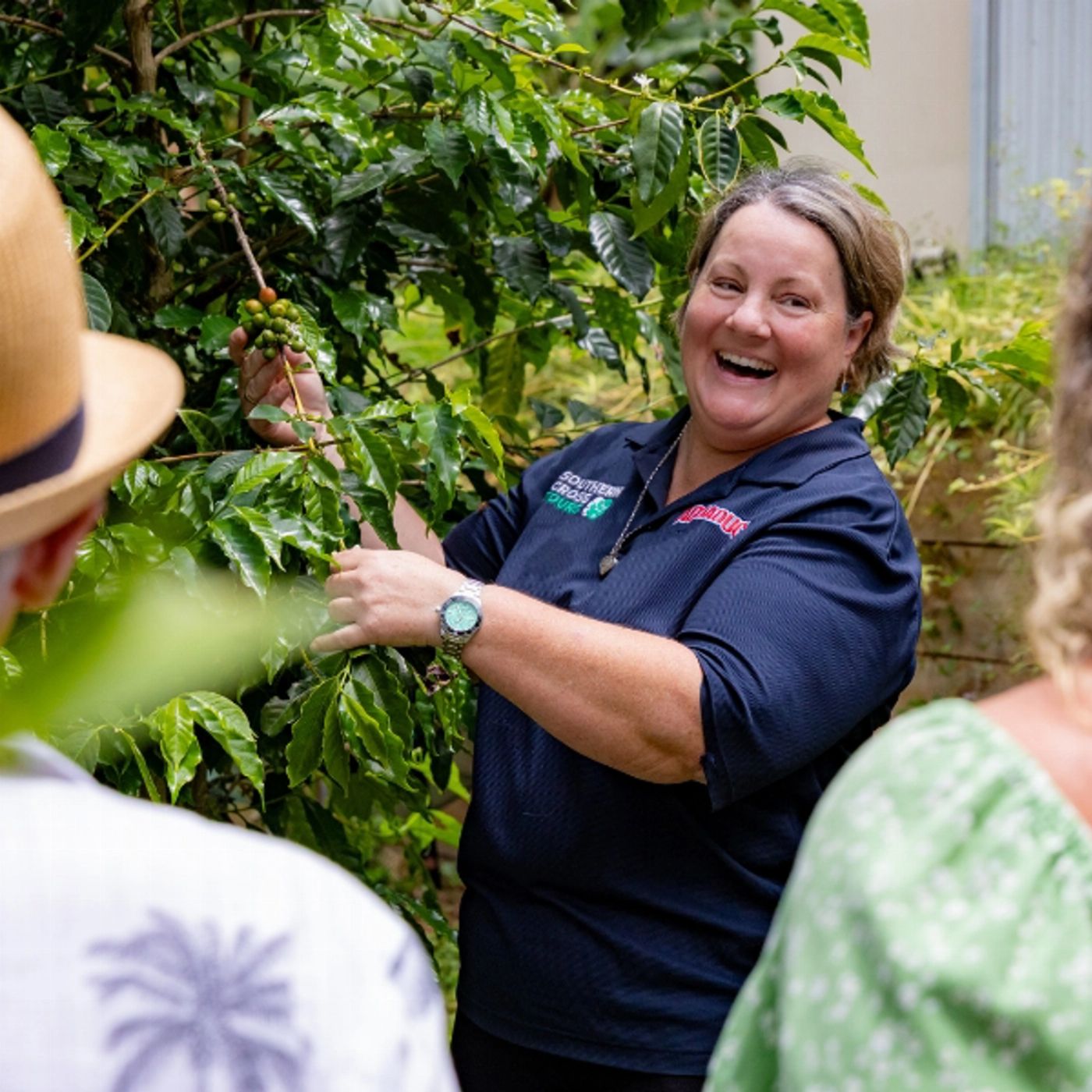 Southern Cross Tours Tastes of Tamborine Mountain Premium Food & Wine Tour