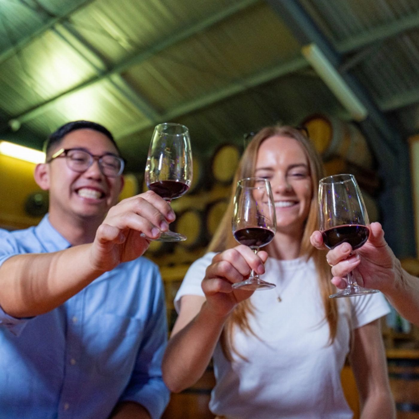 Southern Cross Tours Tastes of Tamborine Mountain Premium Food & Wine Tour