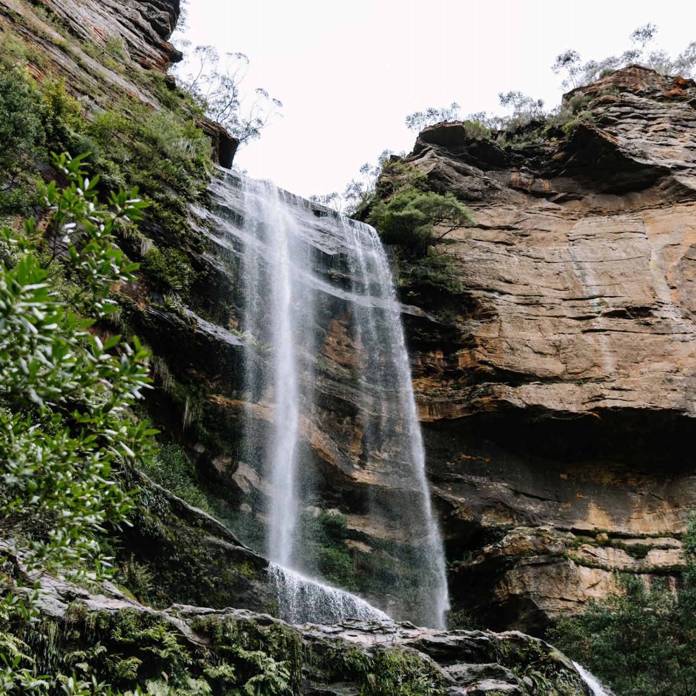 Colourful Collective Travel Blue Mountains & Wildlife Park Colourful Day Trip (SAVER fare - non refundable)