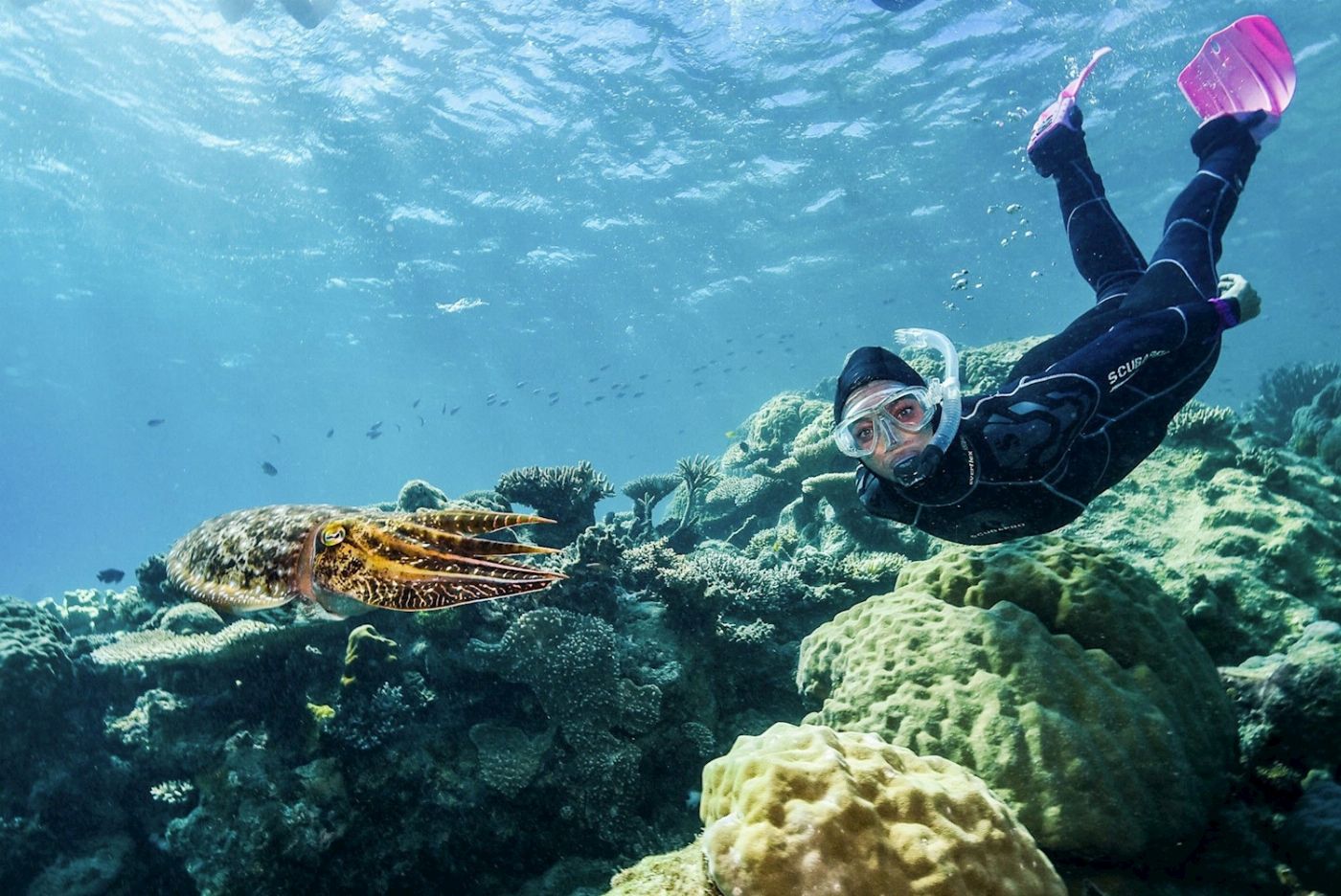 Divers Den AquaQuest