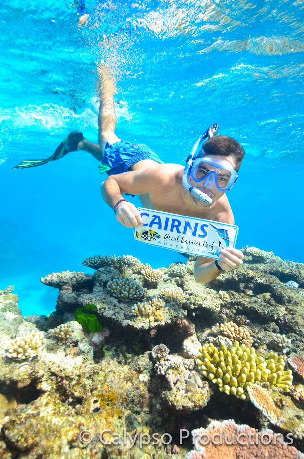 Divers Den AquaQuest