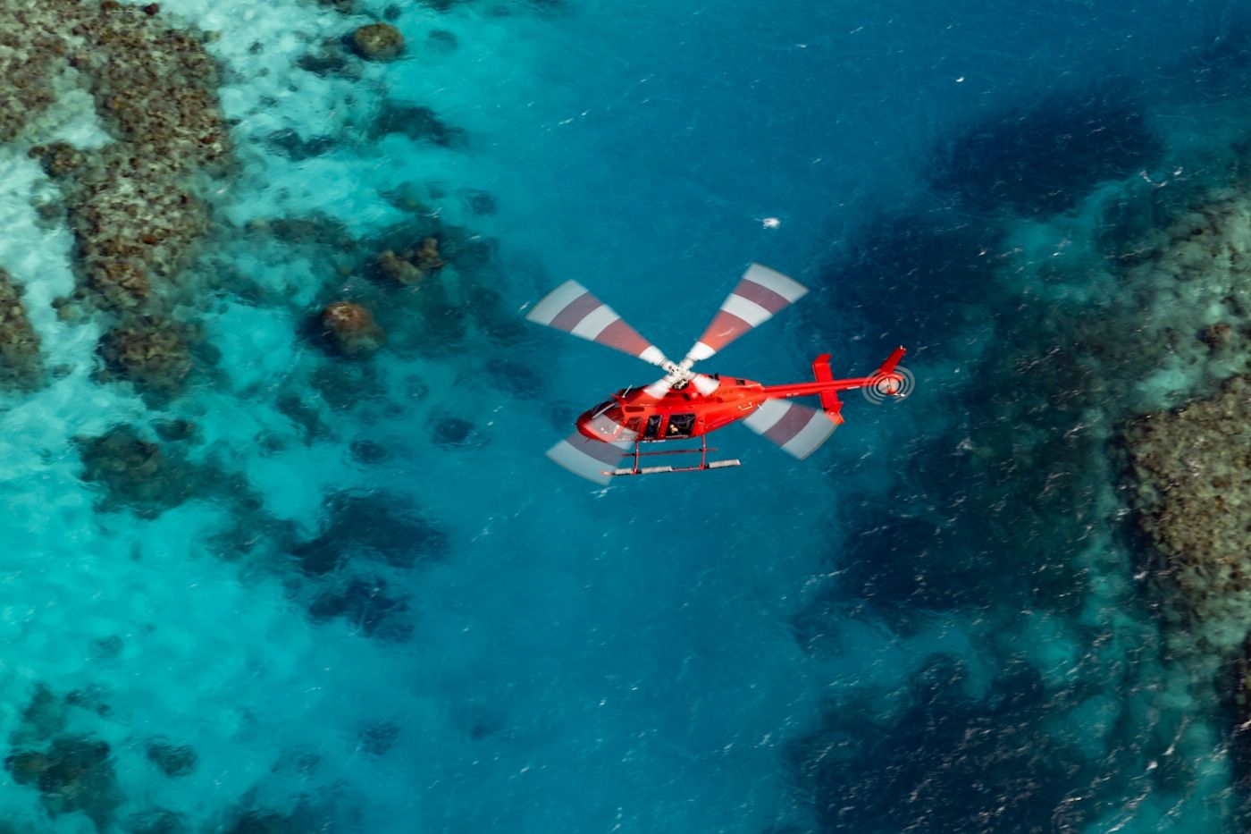 Nautilus Aviation 45 Minute Reef & Rainforest Scenic Flight - Ex Cairns