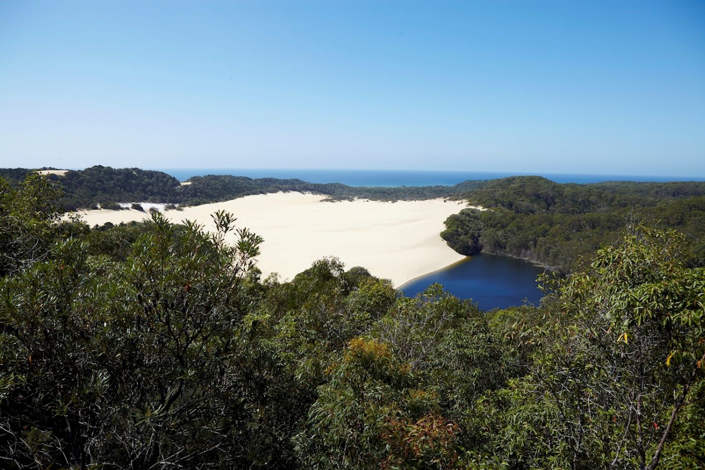 Dingo's K'gari Adventures 3 Day Dingos K'Gari (Fraser Island) ​4WD Tag-Along Tour