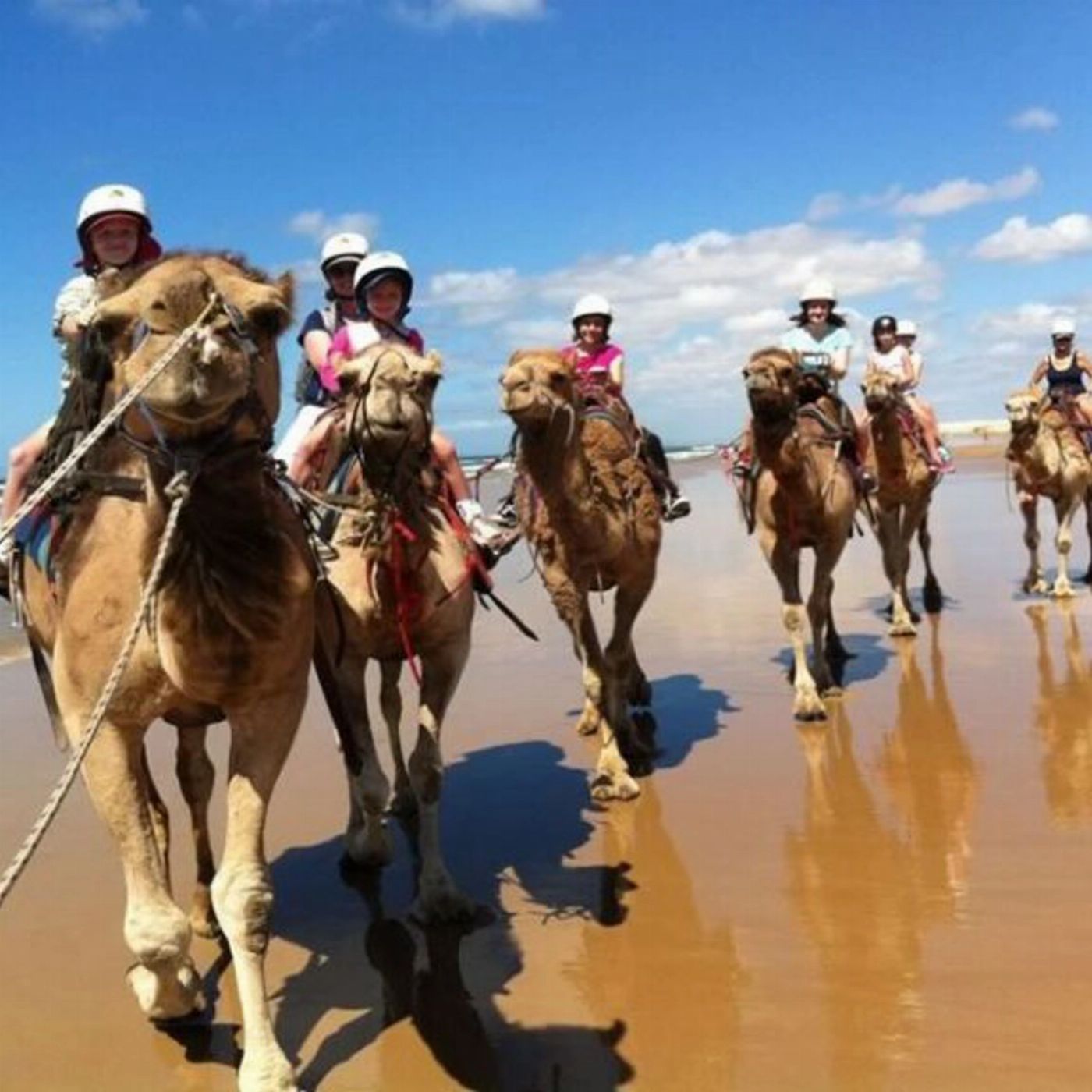 Mate Tours Port Stephens Day Trip: Sand Dunes, Beach & Lookout Views