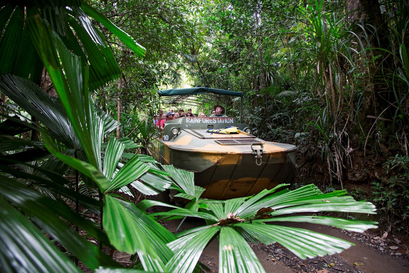 Tropic Wings Grand Kuranda Experience Ex Palm Cove
