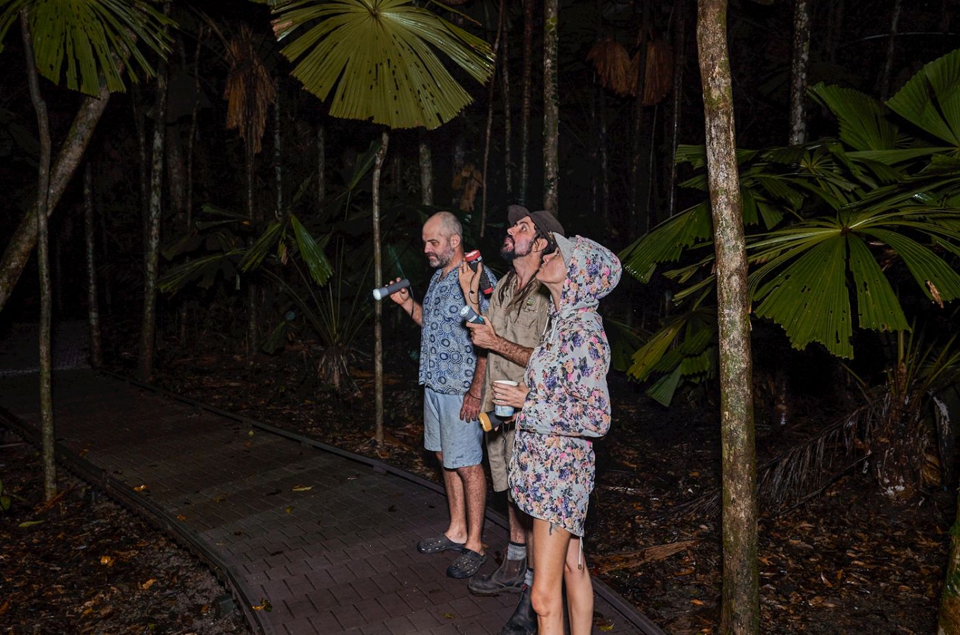 Far North Escapes Daintree Rainforest Guided Night Tour