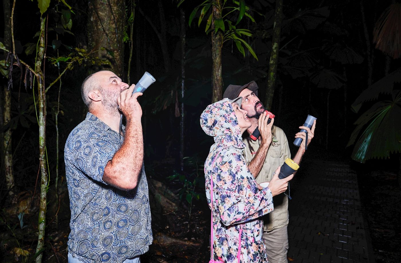 Far North Escapes Daintree Rainforest Guided Night Tour